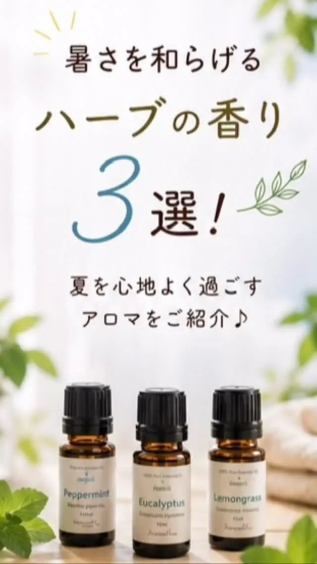 毎日暑い日が続きますね🥵